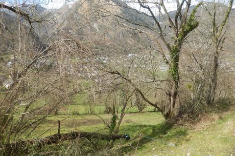 Terra a Laruns, Pyrenees-Atlantiques, Laruns - € 68.000 | Ref: 101310150 - foto 4