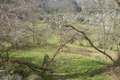 Terra a Laruns, Pyrenees-Atlantiques, Laruns - € 68.000 | Ref: 101310150 - foto 5