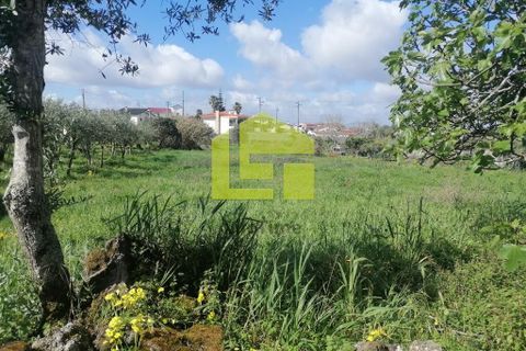 Helårsgrund i Condeixa-a-Nova, Coimbra, Condeixa-a-Nova - € 55.000 | Ref: LT1131 - foto 1
