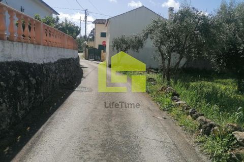 Helårsgrund i Condeixa-a-Nova, Coimbra, Condeixa-a-Nova - € 55.000 | Ref: LT1131 - foto 2