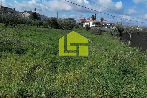 Helårsgrund i Condeixa-a-Nova, Coimbra, Condeixa-a-Nova - € 55.000 | Ref: LT1131 - foto 3