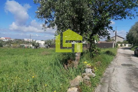 Helårsgrund i Condeixa-a-Nova, Coimbra, Condeixa-a-Nova - € 55.000 | Ref: LT1131 - foto 5