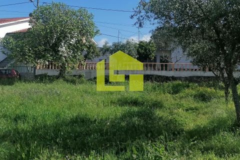 Helårsgrund i Condeixa-a-Nova, Coimbra, Condeixa-a-Nova - € 55.000 | Ref: LT1131 - foto 6