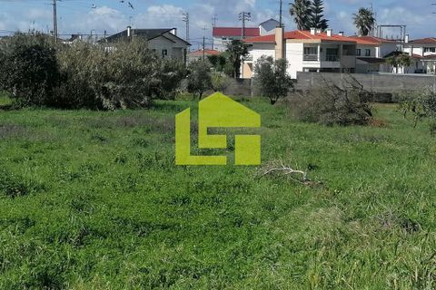 Helårsgrund i Condeixa-a-Nova, Coimbra, Condeixa-a-Nova - € 55.000 | Ref: LT1131 - foto 7