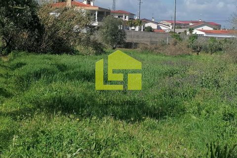 Helårsgrund i Condeixa-a-Nova, Coimbra, Condeixa-a-Nova - € 55.000 | Ref: LT1131 - foto 8
