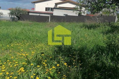 Helårsgrund i Condeixa-a-Nova, Coimbra, Condeixa-a-Nova - € 55.000 | Ref: LT1131 - foto 9