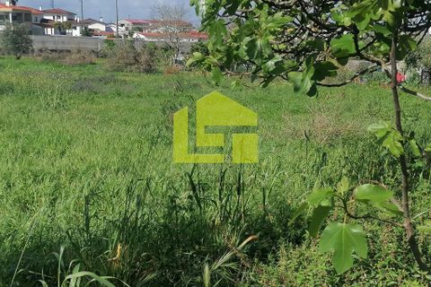 Helårsgrund i Condeixa-a-Nova, Coimbra, Condeixa-a-Nova - € 55.000 | Ref: LT1131 - foto 10