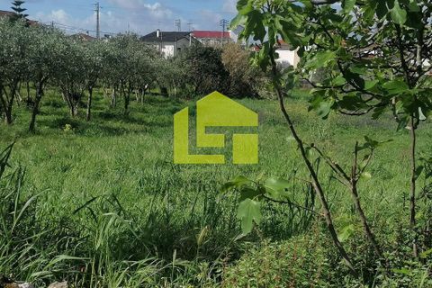 Helårsgrund i Condeixa-a-Nova, Coimbra, Condeixa-a-Nova - € 55.000 | Ref: LT1131 - foto 11