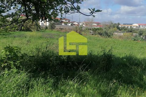 Helårsgrund i Condeixa-a-Nova, Coimbra, Condeixa-a-Nova - € 55.000 | Ref: LT1131 - foto 12