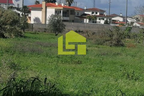 Helårsgrund i Condeixa-a-Nova, Coimbra, Condeixa-a-Nova - € 55.000 | Ref: LT1131 - foto 13