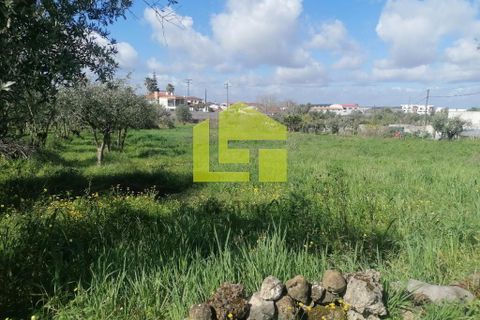 Helårsgrund i Condeixa-a-Nova, Coimbra, Condeixa-a-Nova - € 55.000 | Ref: LT1131 - foto 16