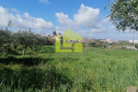 Helårsgrund i Condeixa-a-Nova, Coimbra, Condeixa-a-Nova - € 55.000 | Ref: LT1131 - foto 17