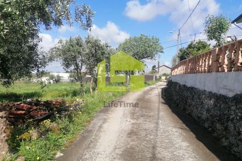 Helårsgrund i Condeixa-a-Nova, Coimbra, Condeixa-a-Nova - € 55.000 | Ref: LT1131 - foto 19