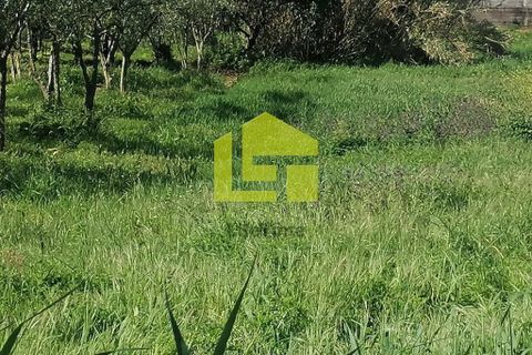 Helårsgrund i Condeixa-a-Nova, Coimbra, Condeixa-a-Nova - € 55.000 | Ref: LT1131 - foto 21