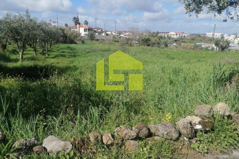 Helårsgrund i Condeixa-a-Nova, Coimbra, Condeixa-a-Nova - € 55.000 | Ref: LT1131 - foto 22