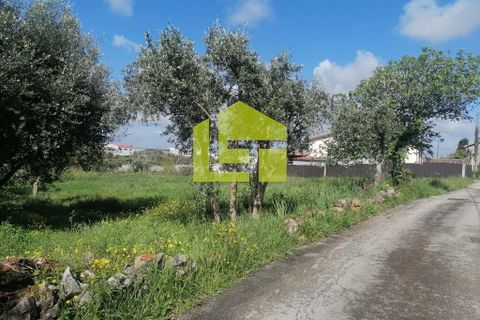 Helårsgrund i Condeixa-a-Nova, Coimbra, Condeixa-a-Nova - € 55.000 | Ref: LT1131 - foto 23