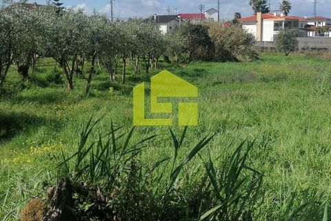 Helårsgrund i Condeixa-a-Nova, Coimbra, Condeixa-a-Nova - € 55.000 | Ref: LT1131 - foto 24