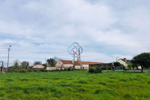Helårsgrund i Ovar, Aveiro, Ovar - € 45.350 | Ref: 4192 - foto 4