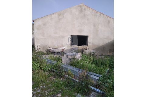 Villa a Crato, Portalegre, Crato - € 268.000 | Ref: ID 01001101-86 - foto 8