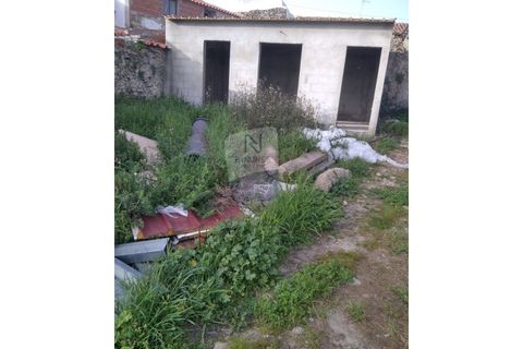 Villa a Crato, Portalegre, Crato - € 268.000 | Ref: ID 01001101-86 - foto 9