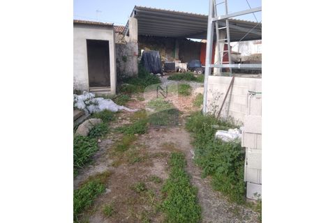 Villa a Crato, Portalegre, Crato - € 268.000 | Ref: ID 01001101-86 - foto 13
