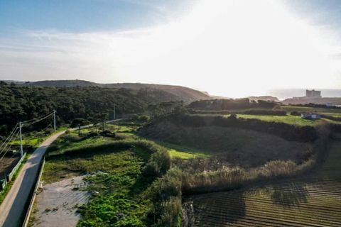 Helårsgrund i A dos Cunhados e Maceira, Lisbon, A dos Cunhados e Maceira - € 81.000 | Ref: PTC20240103.3 - foto 6