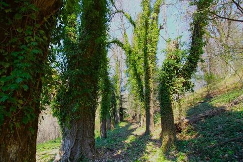 Landejendom i Pamparato, Cuneo, Pamparato - € 150.000 | Ref: PMP010 - foto 15