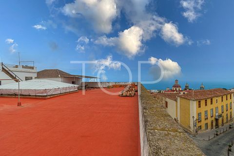 Byhus i La Orotava, Tenerife, La Orotava - € 1.650.000 | Ref: 2H-AD-4080 - foto 19
