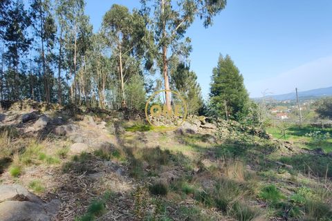Helårsgrund i Ponte de Lima, Viana do Castelo, Ponte de Lima - € 13.000 | Ref: ONE0021050-169 - foto 5