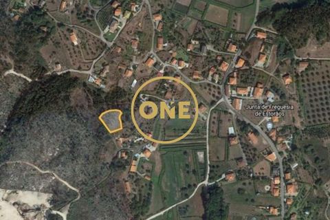 Helårsgrund i Ponte de Lima, Viana do Castelo, Ponte de Lima - € 13.000 | Ref: ONE0021050-169 - foto 7