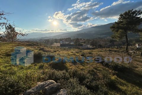 Helårsgrund i Vila Real, Vila Real, Vila Real - € 149.000 | Ref: TER_1145 - foto 2
