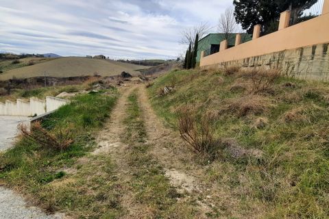 Helårsgrund i Offida, Ascoli Piceno, Offida - € 105.000 | Ref: 6711 - foto 2