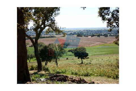 Farm hus i Beja, Beja, Beja - € 42.500 | Ref: 2024009 - foto 3