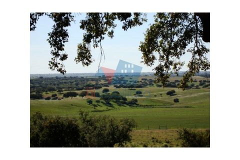 Farm hus i Beja, Beja, Beja - € 42.500 | Ref: 2024009 - foto 4