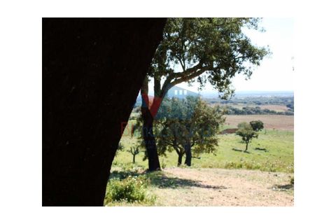 Farm hus i Beja, Beja, Beja - € 42.500 | Ref: 2024009 - foto 5