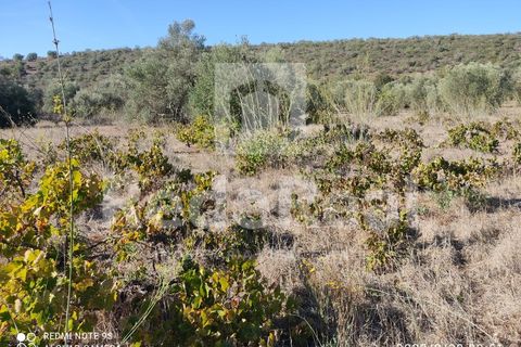 Helårsgrund i Benafim, Faro, Benafim - € 30.000 | Ref: 021240025 - foto 2