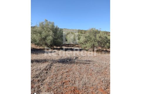 Helårsgrund i Benafim, Faro, Benafim - € 30.000 | Ref: 021240025 - foto 3