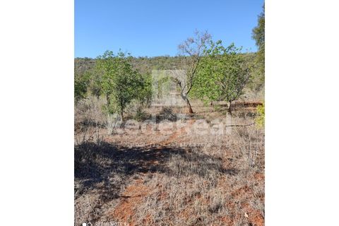 Helårsgrund i Benafim, Faro, Benafim - € 30.000 | Ref: 021240025 - foto 5