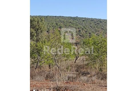 Helårsgrund i Benafim, Faro, Benafim - € 30.000 | Ref: 021240025 - foto 7