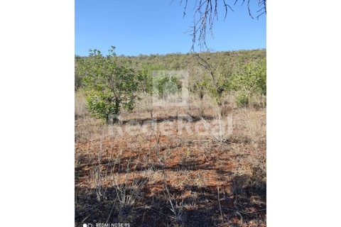 Helårsgrund i Benafim, Faro, Benafim - € 30.000 | Ref: 021240025 - foto 9