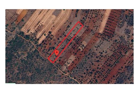 Helårsgrund i Benafim, Faro, Benafim - € 30.000 | Ref: 021240025 - foto 10