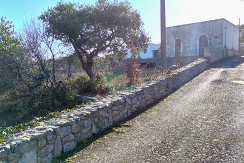 Villa i Noci, Bari, Noci - € 130.000 | Ref: 11818-2024 - foto 17