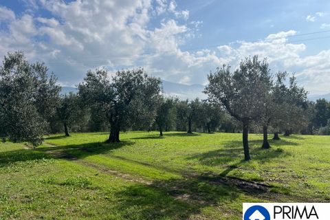 Helårsgrund i Terni, Terni, Terni - € 70.000 | Ref: DQZ-1911 - foto 5