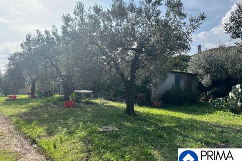 Helårsgrund i Terni, Terni, Terni - € 70.000 | Ref: DQZ-1911 - foto 6