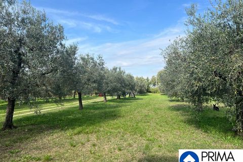 Helårsgrund i Terni, Terni, Terni - € 70.000 | Ref: DQZ-1911 - foto 7