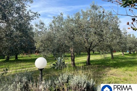 Helårsgrund i Terni, Terni, Terni - € 70.000 | Ref: DQZ-1911 - foto 8
