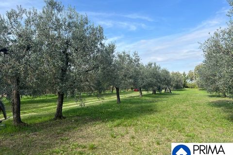 Helårsgrund i Terni, Terni, Terni - € 70.000 | Ref: DQZ-1911 - foto 9