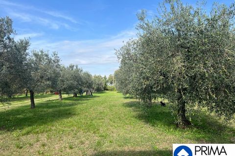 Helårsgrund i Terni, Terni, Terni - € 70.000 | Ref: DQZ-1911 - foto 10