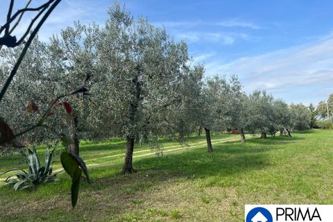 Helårsgrund i Terni, Terni, Terni - € 70.000 | Ref: DQZ-1911 - foto 11