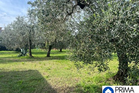 Helårsgrund i Terni, Terni, Terni - € 70.000 | Ref: DQZ-1911 - foto 12